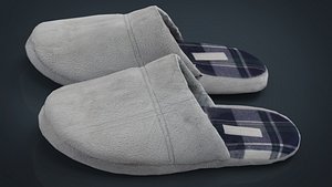 House slippers 2