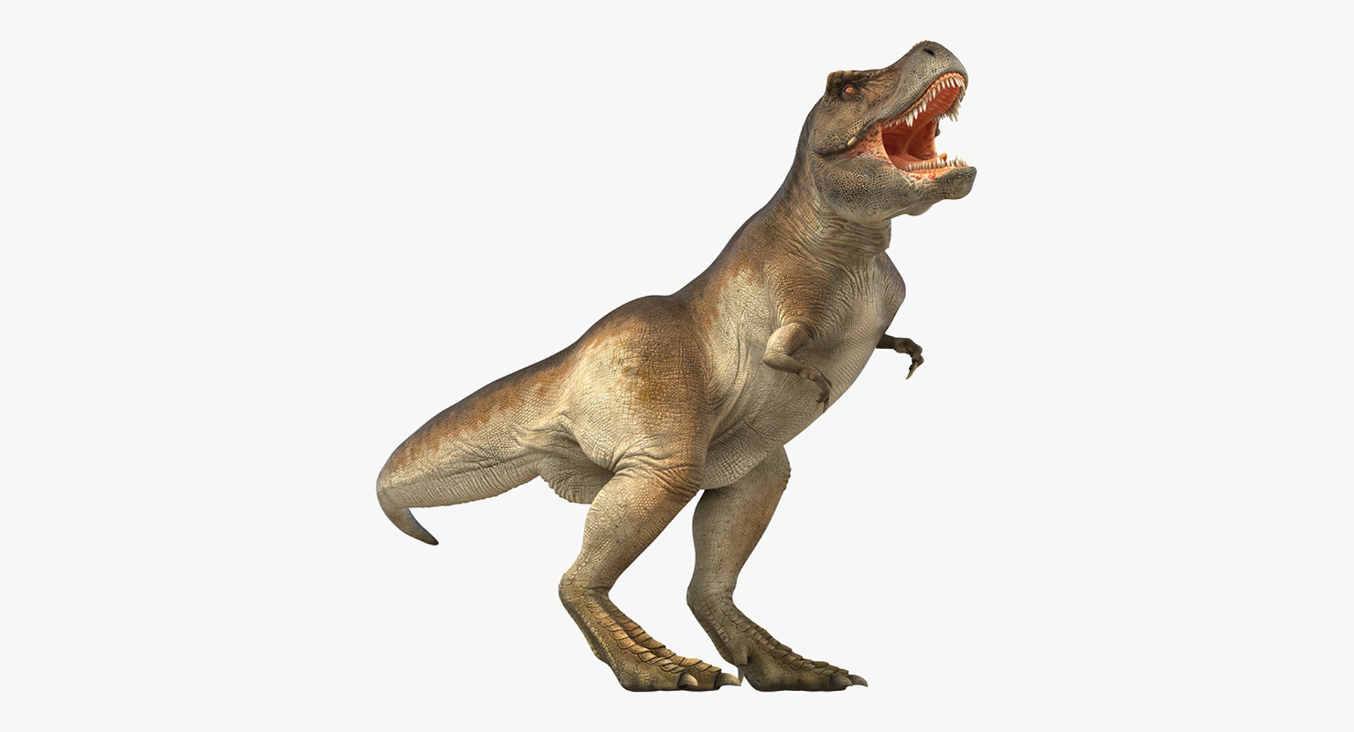 Tyrannosaurus Rex Rigged 3D model preview