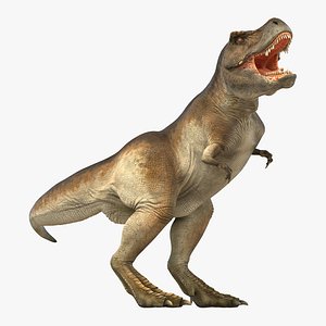 3d tyrannosaurus rex rigged