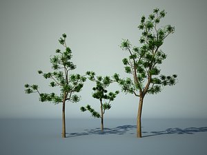 tree 3d model