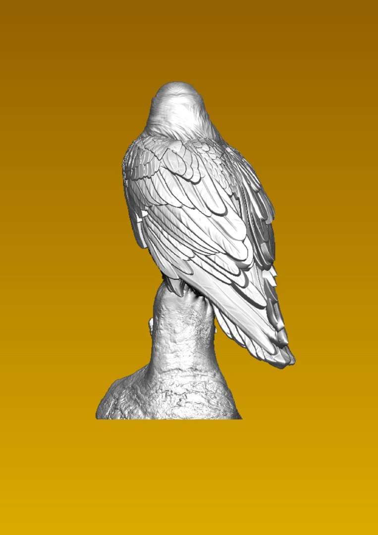 3D Raven Model - TurboSquid 2383960