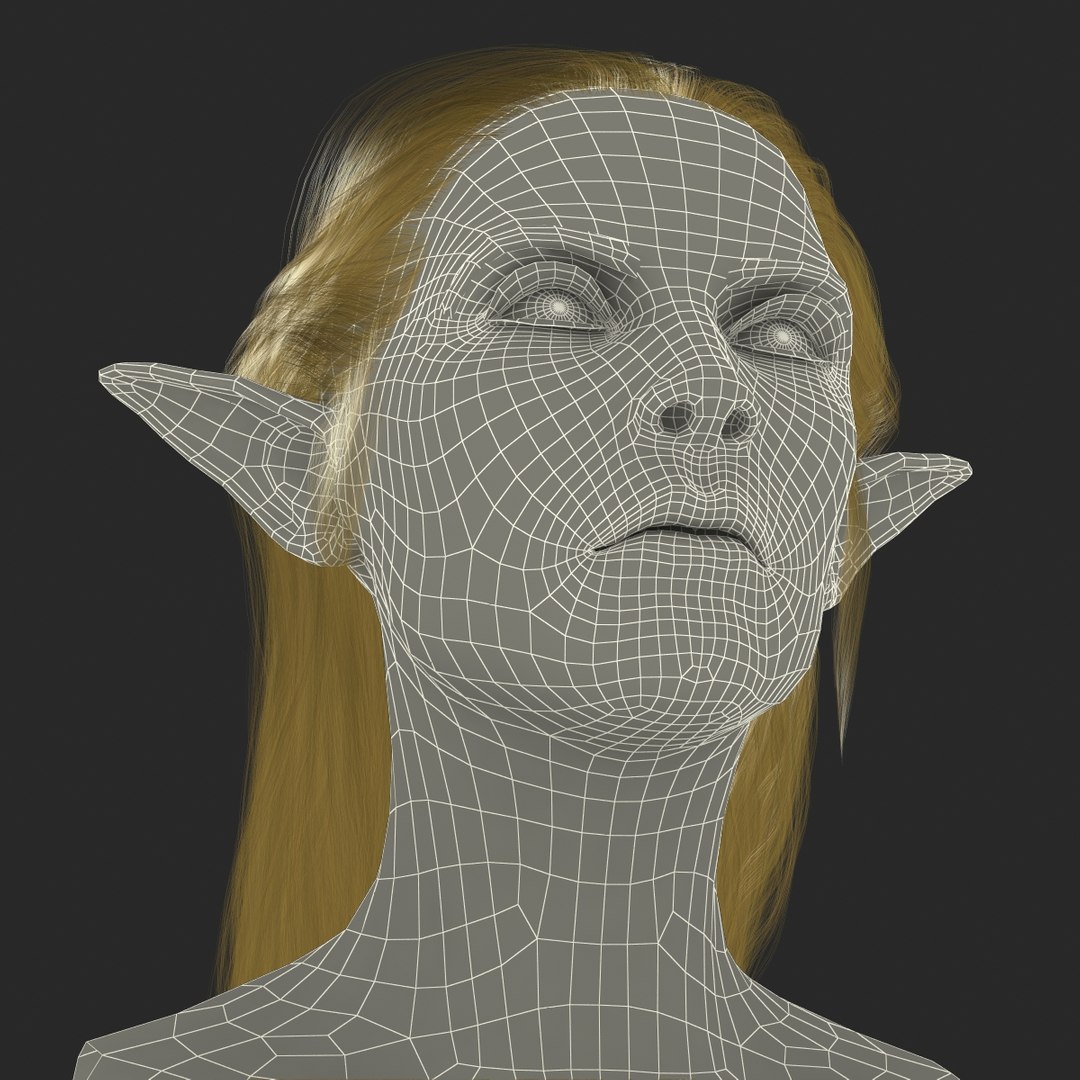 3d Model Of Female Elf Head Hair