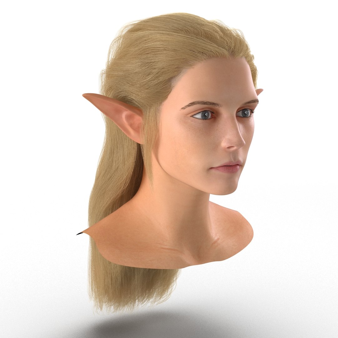 3d Model Of Female Elf Head Hair