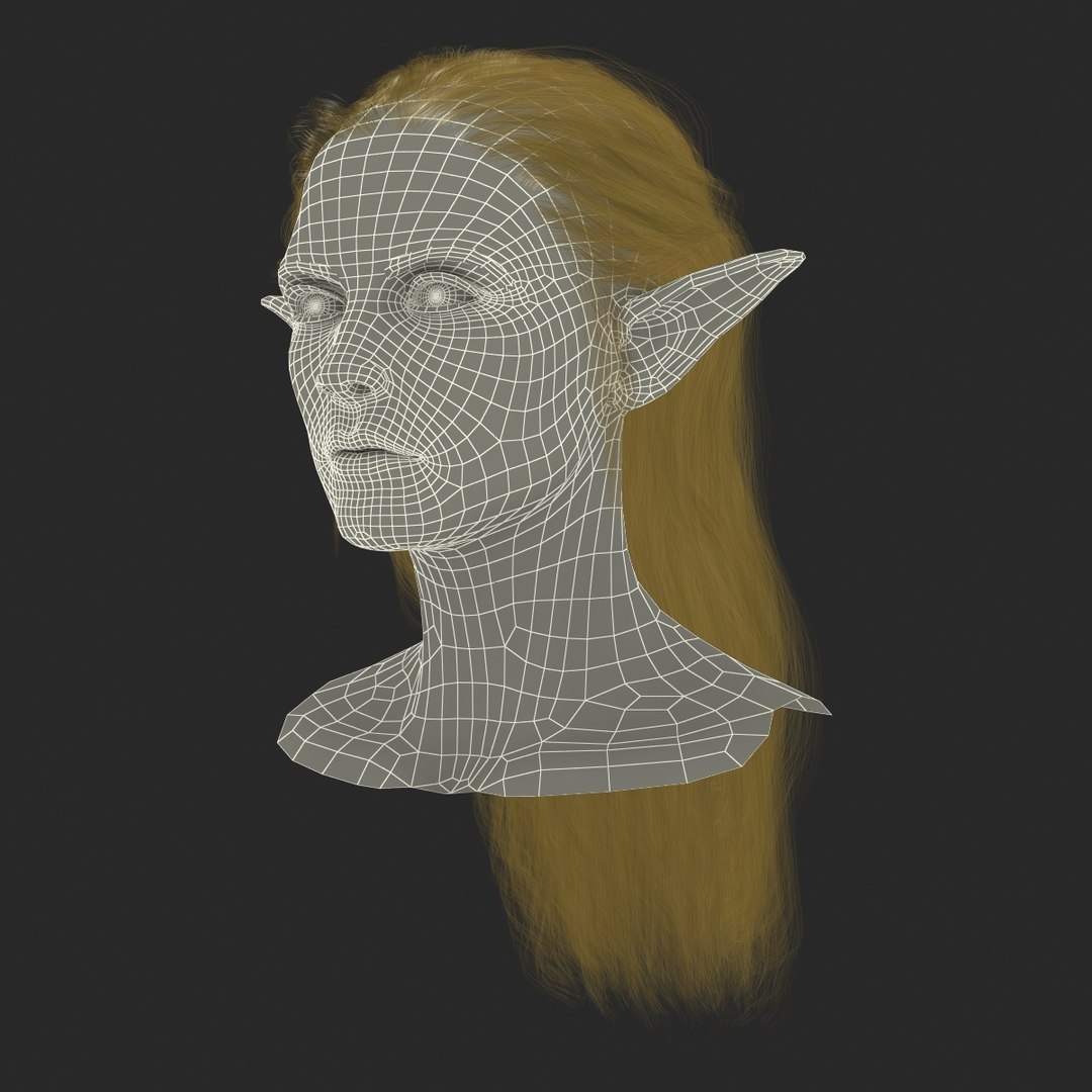 3d Model Of Female Elf Head Hair