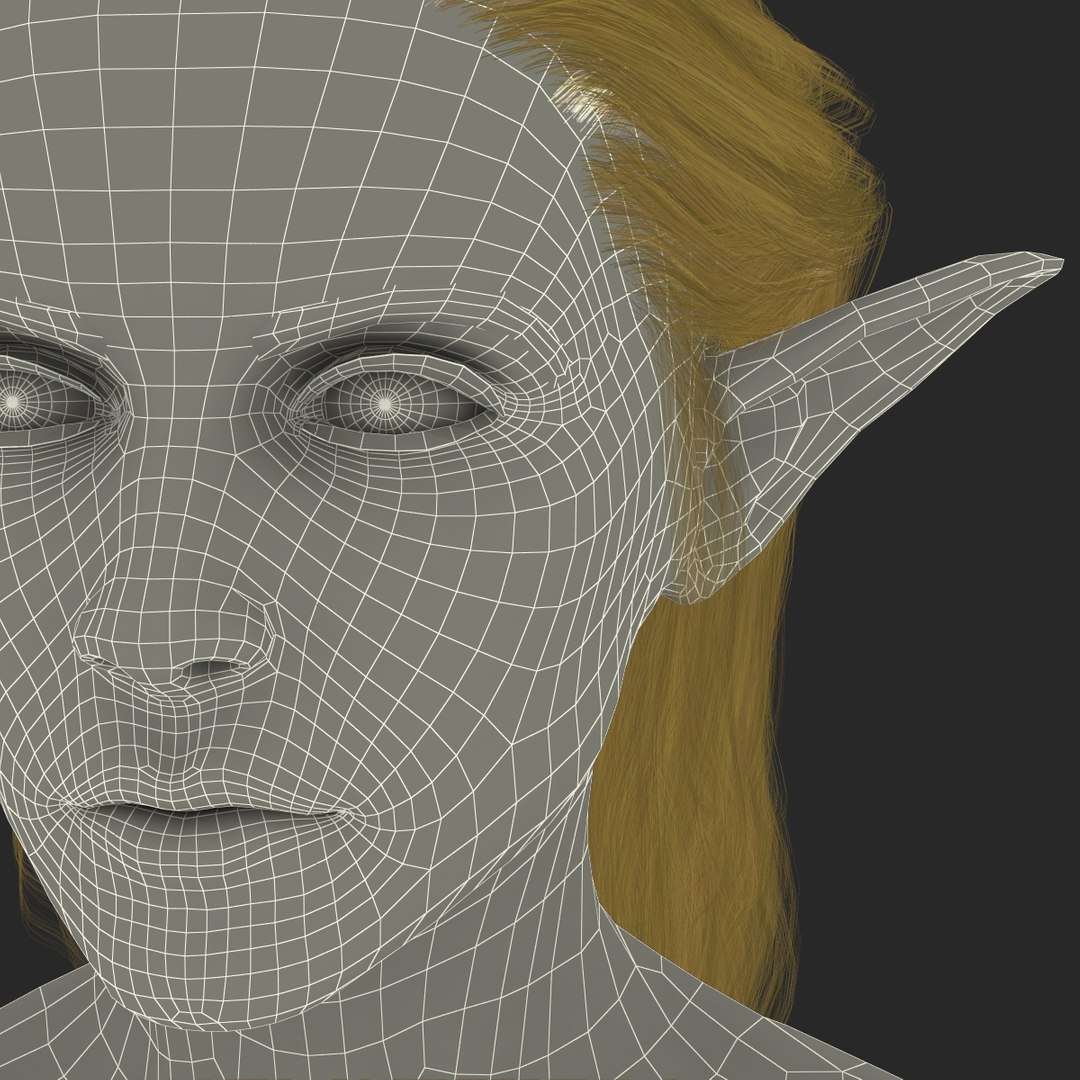 3d Model Of Female Elf Head Hair