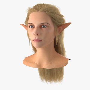 Female Elf Head with Hair 3D Model