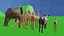 Animal Collection 3D lowpay