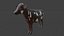 Animal Collection 3D lowpay