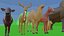 Animal Collection 3D lowpay