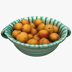 Bowl with Apricots 02