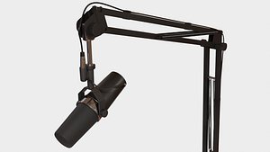 Microphone and Boom Arm