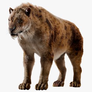 smilodon model