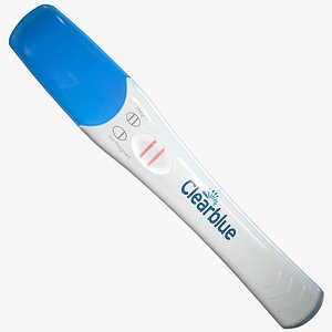 Pregnancy Test - 3 Versions PBR