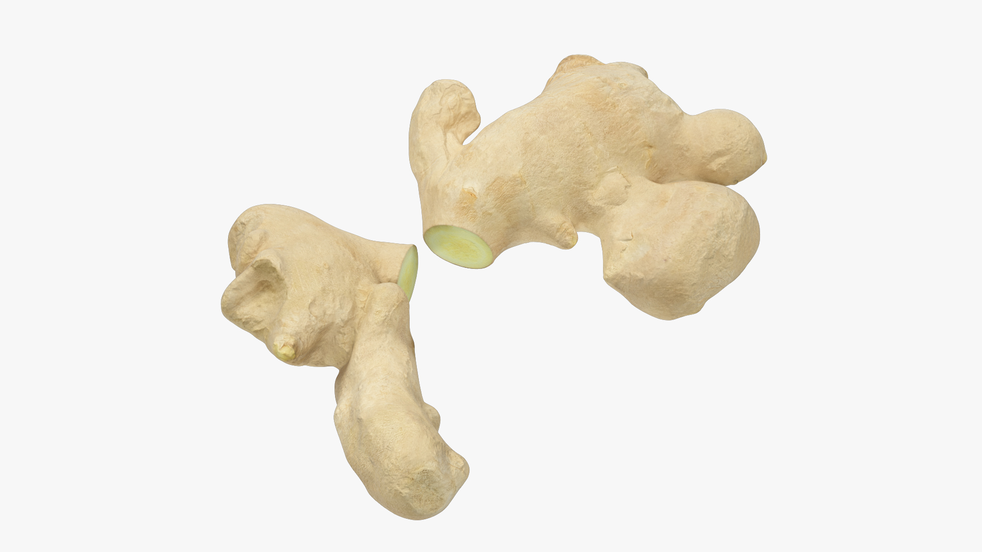 Ginger and Lemon Collection V4 3D model https://p.turbosquid.com/ts-thumb/xU/8HYLhA/GG/gc1render/jpg/1708130134/1920x1080/turn_fit_q99/fac680f90155bb75705de2924fb43b30956d48af/gc1render-1.jpg
