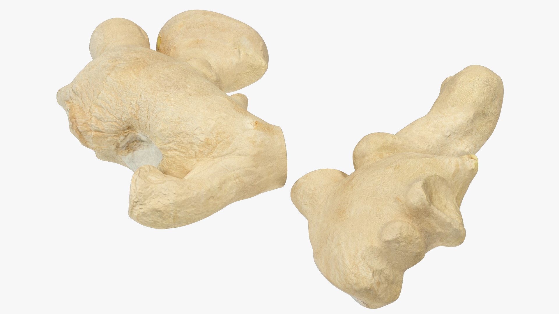 Ginger and Lemon Collection V4 3D model https://p.turbosquid.com/ts-thumb/xU/8HYLhA/PD/gc1_004_009/png/1708301803/1920x1080/fit_q87/7860010bfbb665e343ad1ab72e783a4d7503761d/gc1_004_009.jpg