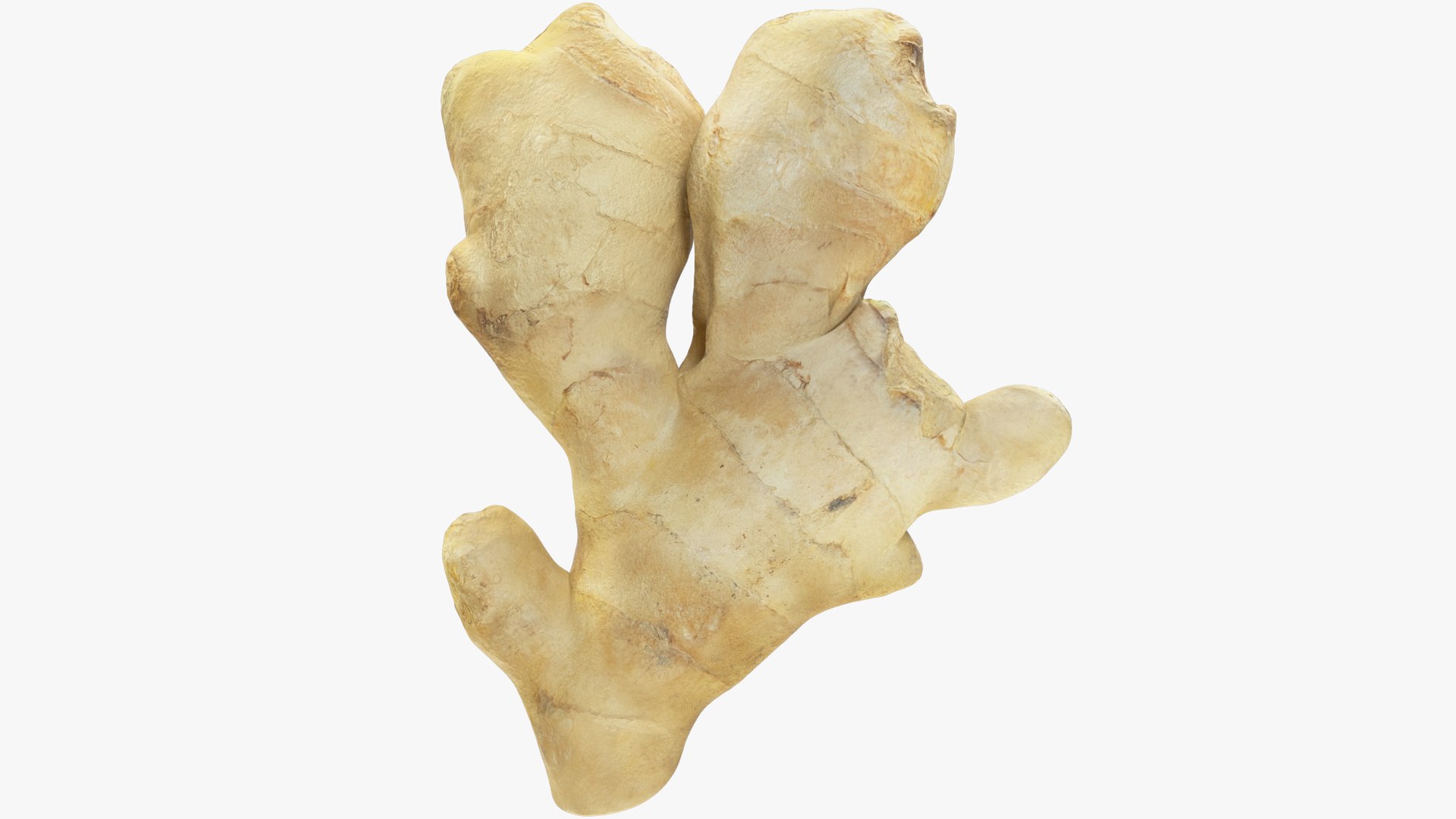 Ginger and Lemon Collection V4 3D model https://p.turbosquid.com/ts-thumb/xU/8HYLhA/Qq/g2_001/png/1708300515/1920x1080/fit_q87/27a9babb9511c539536e1e11494315e9fe1dbdbe/g2_001.jpg
