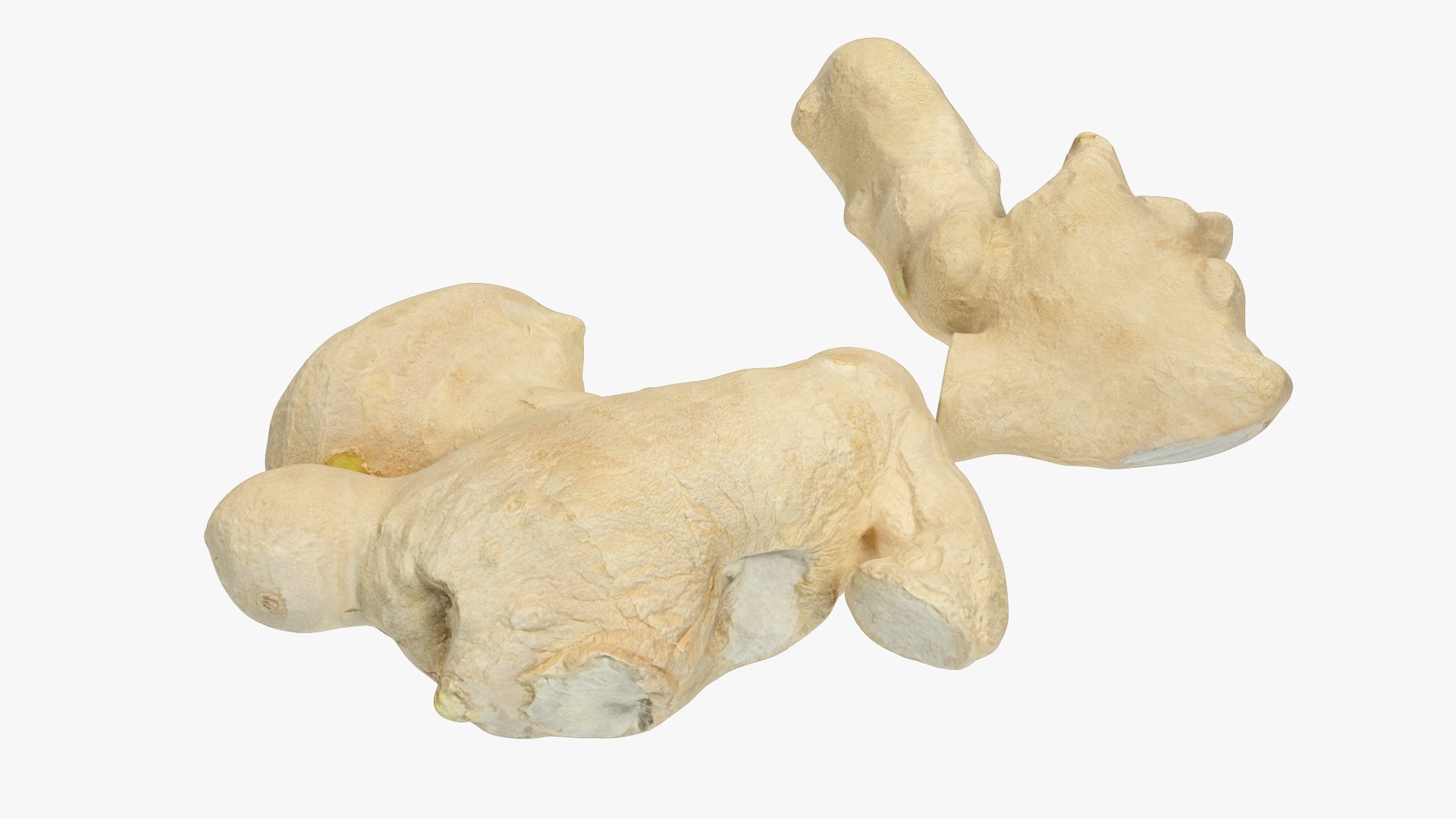 Ginger and Lemon Collection V4 3D model https://p.turbosquid.com/ts-thumb/xU/8HYLhA/TH/gc1_004_007/png/1708301801/1920x1080/fit_q87/6a7c26885fb21daec4713025244f57480e6d6829/gc1_004_007.jpg
