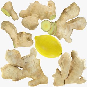 Ginger and Lemon Collection V4 3D model