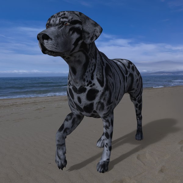 LAB-041 Dog Walking 3D