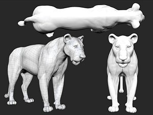 lion model