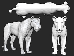 lion model