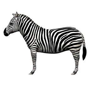 fully rigged low poly zebra model
