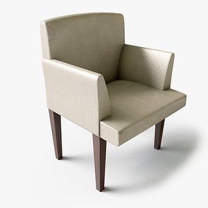 Fauteuil 03