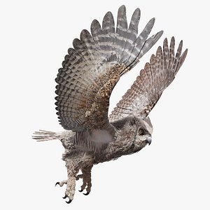 Great Horned Owl - Blender model