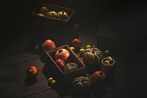 3D POLYPASTA - Autumn Set 01 model