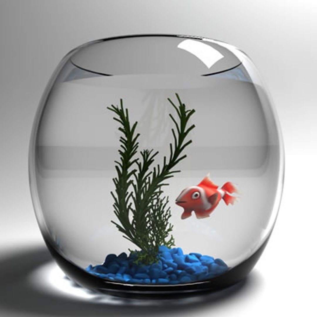 Fish Aquarium 3d Model