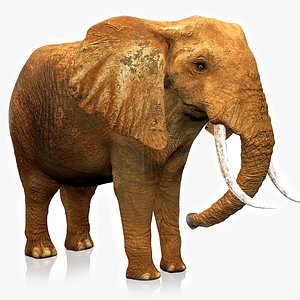 African Elephant RIGGED L2386 3D