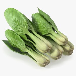 Pile of Fresh Bok Choy Heads 3D model