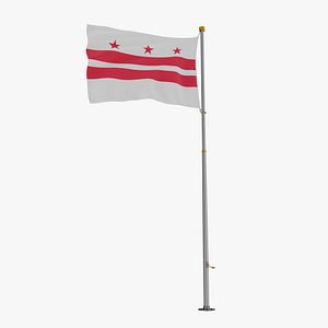 3D Pole Flag Washington DC