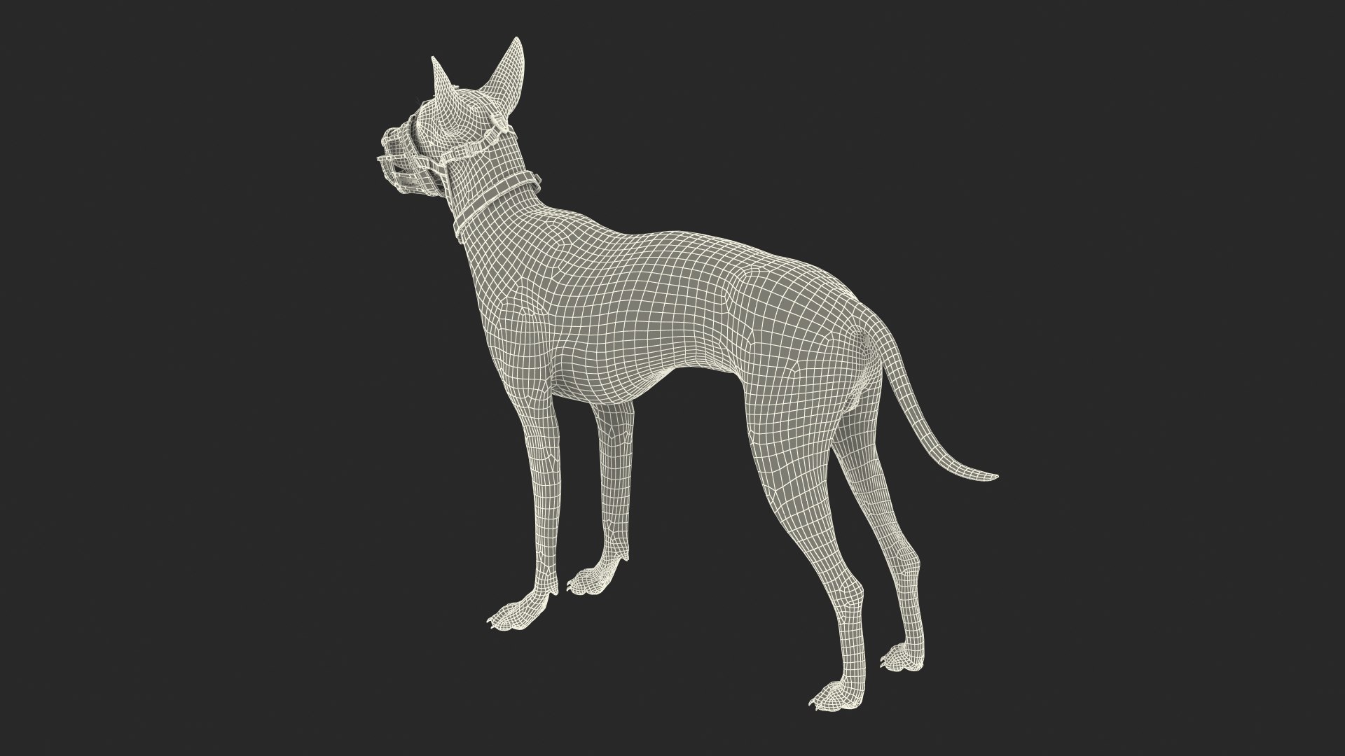 Xoloitzcuintli in a Baskerville Muzzle Fur model https://p.turbosquid.com/ts-thumb/xV/Mfq7N4/A5/xoloitzcuintli_in_a_baskerville_muzzle_fur_020/jpg/1727072355/1920x1080/fit_q87/3c0185b41db59dc35ab5b51c1db05824818e112c/xoloitzcuintli_in_a_baskerville_muzzle_fur_020.jpg