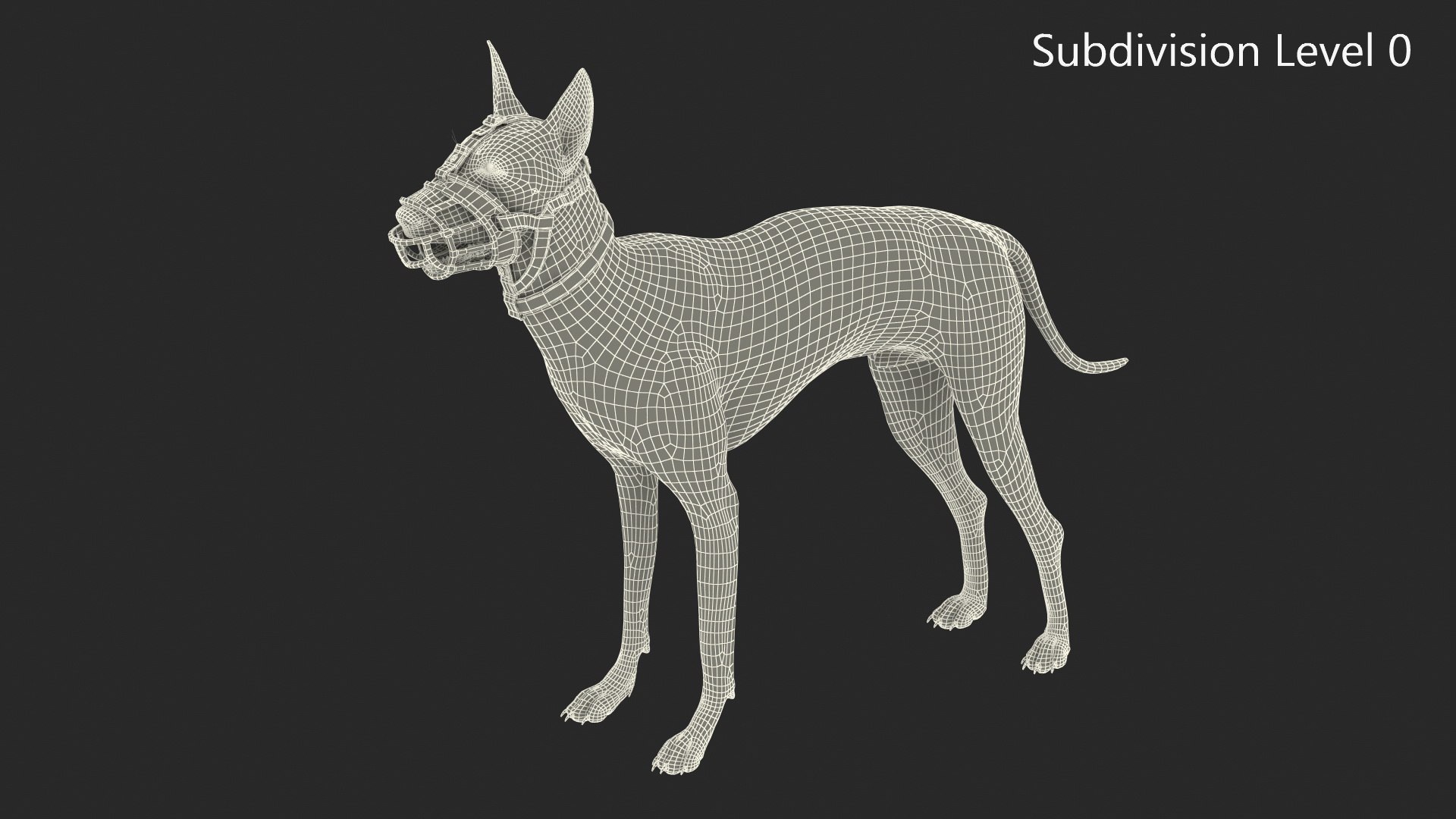 Xoloitzcuintli in a Baskerville Muzzle Fur model https://p.turbosquid.com/ts-thumb/xV/Mfq7N4/FR/xoloitzcuintli_in_a_baskerville_muzzle_fur_013/jpg/1727072349/1920x1080/fit_q87/ac1be233c7f4125e0efef9d7ff463cfc496e51f7/xoloitzcuintli_in_a_baskerville_muzzle_fur_013.jpg