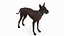 Xoloitzcuintli in a Baskerville Muzzle Fur