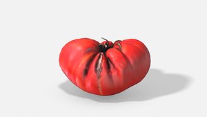 3D vegetable tomato - photoscanned model