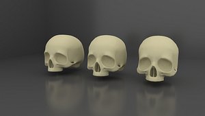 3D skull 3 lod