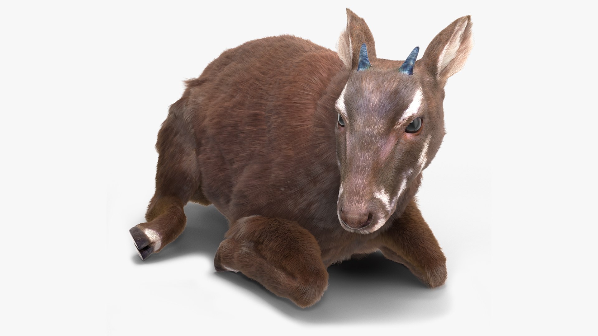 Saola Reclining Pose Fur 3D model preview