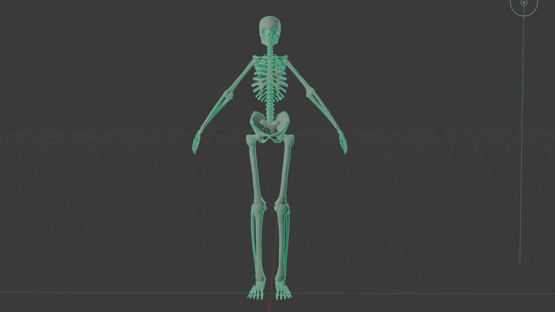Skeleton 3D Model - TurboSquid 2419231