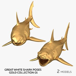 Great White Shark Poses Gold Collection 01 - 2 models 3D