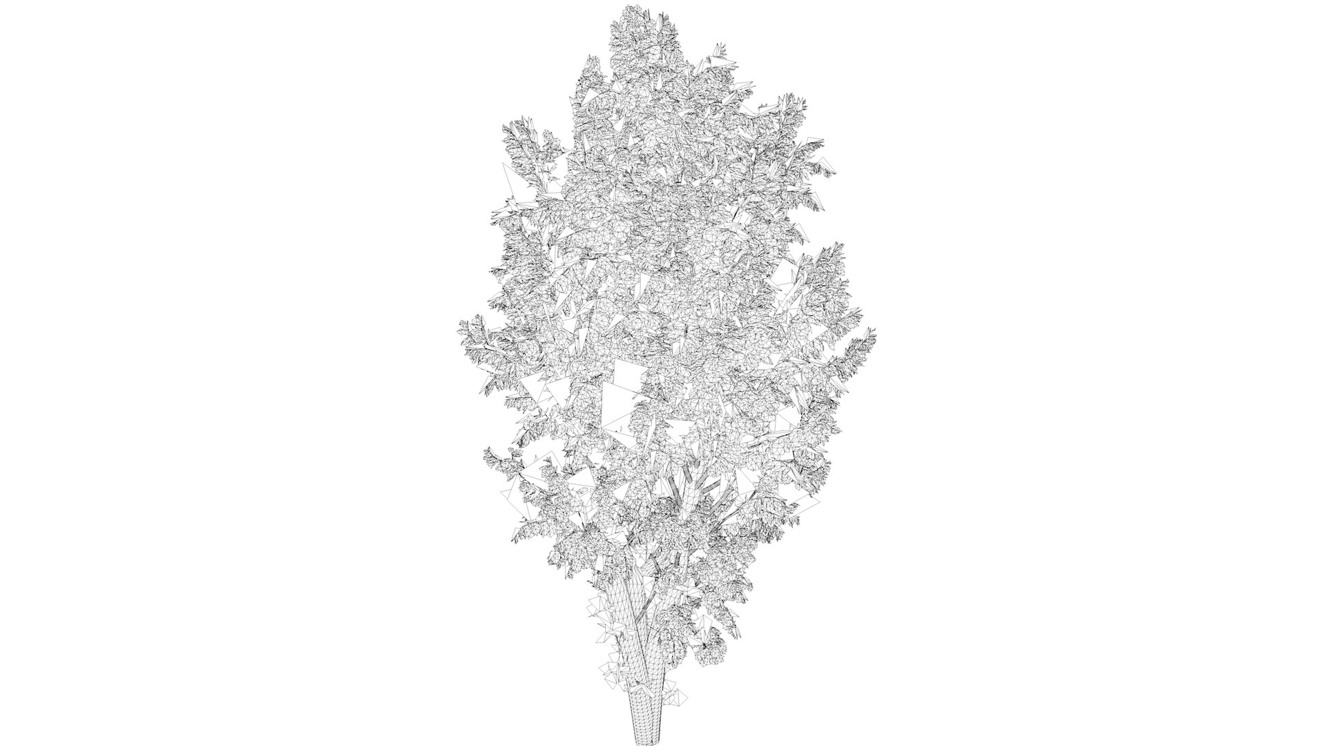 European White Birch Tree - 07 - 3D https://p.turbosquid.com/ts-thumb/xV/vZJPsE/Vd/whitebirch_07_031/png/1742115030/1920x1080/fit_q87/e249d08d9ee8e81e99968709d0d76db1c33b7e62/whitebirch_07_031.jpg