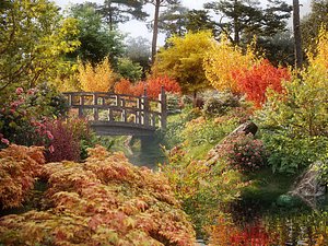 Japanese plants - Include GrowFX and Mesh file