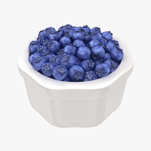 3D realistic blueberries bowl model