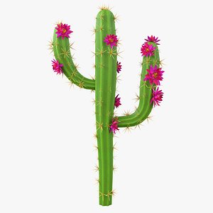 3D Cartoon Cactus 04