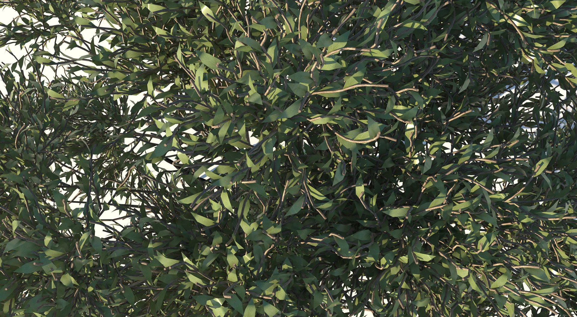 apple tree 3D model https://p.turbosquid.com/ts-thumb/xW/B5JZ1y/Ek/8/jpg/1611912055/1920x1080/fit_q87/6746d62ce113e4a54e277b63fe3837472eb0df4c/8.jpg