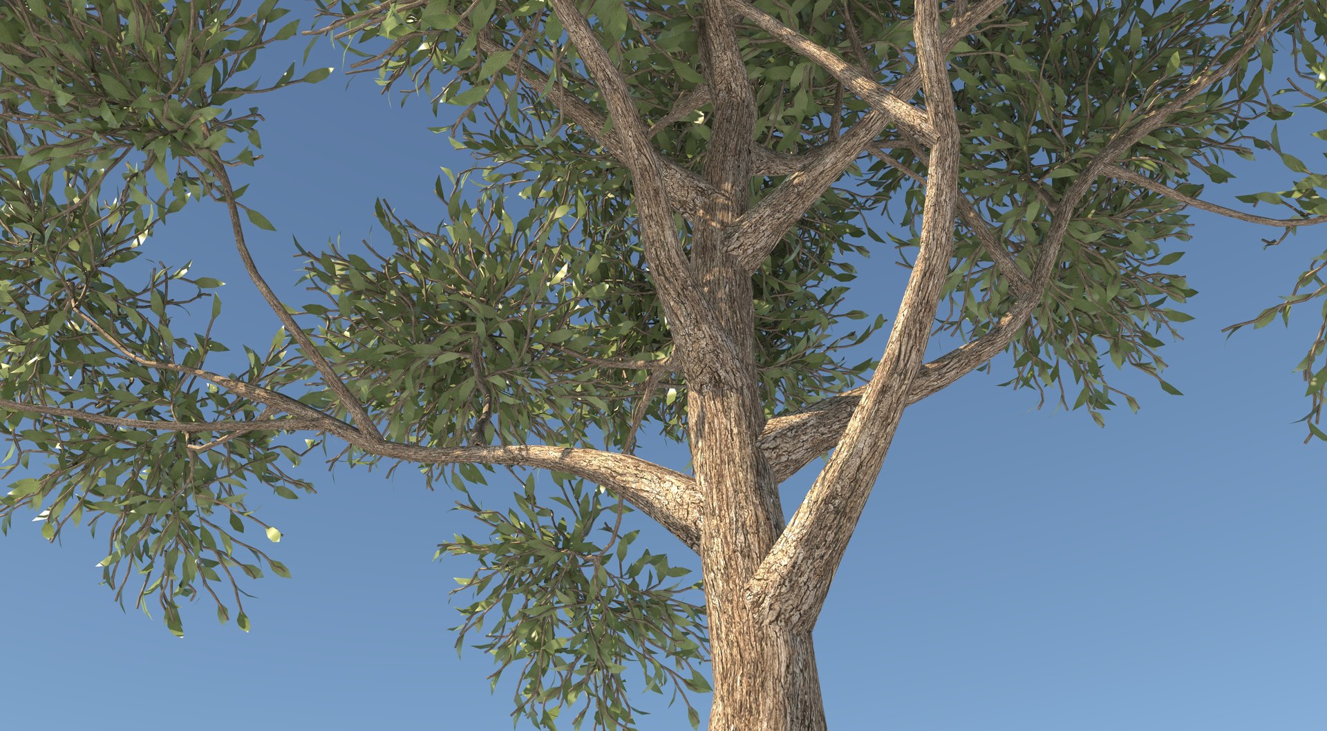 apple tree 3D model https://p.turbosquid.com/ts-thumb/xW/B5JZ1y/RN/5/jpg/1611911352/1920x1080/fit_q87/8f6e6c6f875abda9ce5d6d726581db0205885f3a/5.jpg