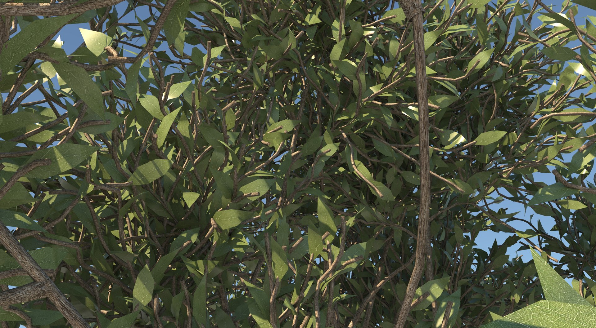 apple tree 3D model https://p.turbosquid.com/ts-thumb/xW/B5JZ1y/pB/6/jpg/1611911432/1920x1080/fit_q87/7ce19b08eb1f1c5cc8a00326c24934ec4e3591ba/6.jpg