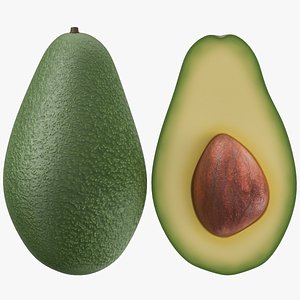 Avocado Set 3D model