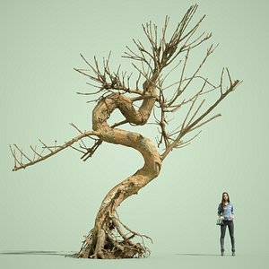 3D dead forest tree stylised model